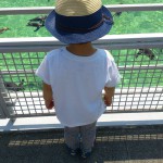 PIC00084B