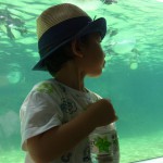 PIC00084E
