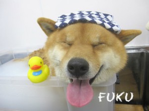 2189