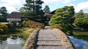 DSC_0132桂