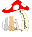 footer_logo