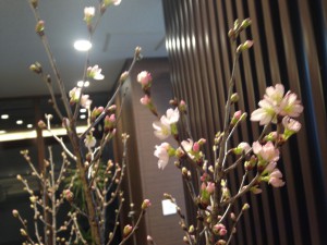 桜2