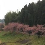 浜田河