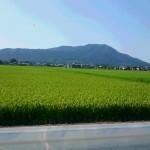 ２新潟