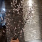 DSCN1041