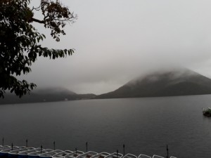 20171013_152341 (480x360)