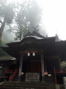 20171013_155742 (360x480)
